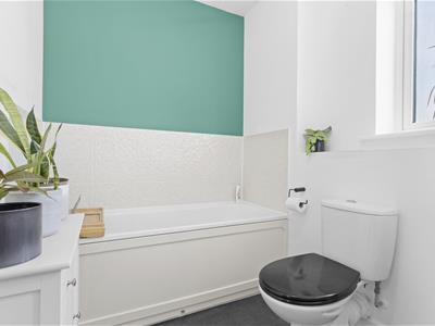 Picture 27